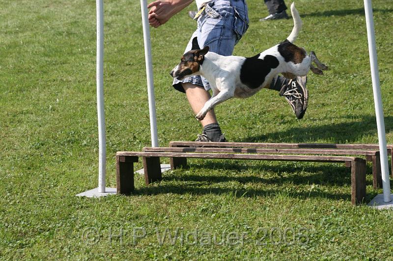 jubil.lusten. 228.jpg